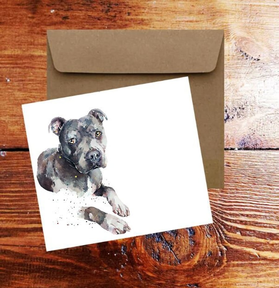 Blue Staffordshire Bull Terrier II Art Square Card(s)Single Pack of 6.Staffie Wa