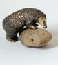 Climbing Hedgehog 2 of 2 - Image 2