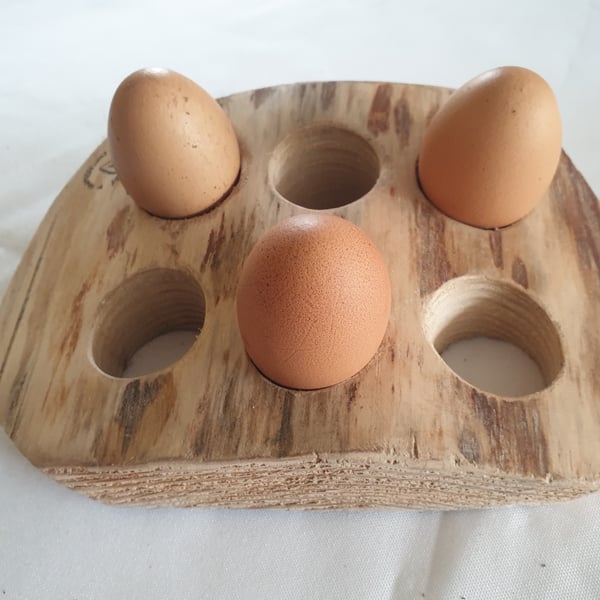 Ash egg holder (eh1)