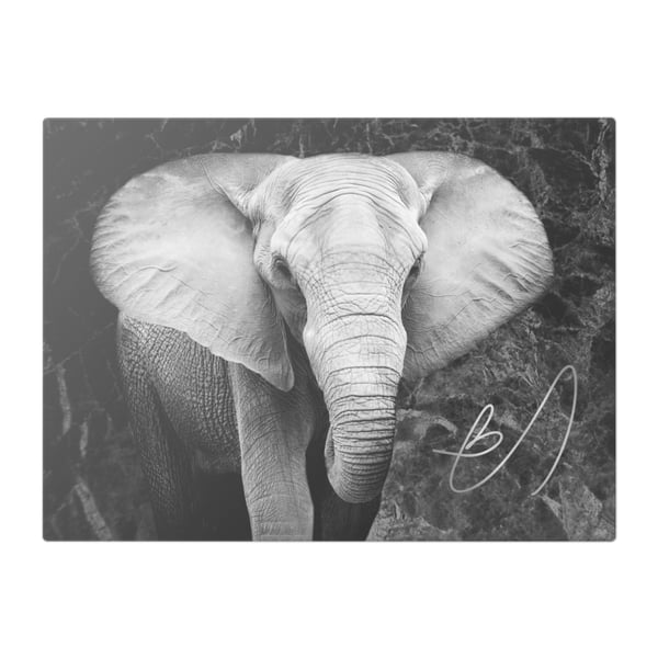 Majestic Elephant In Mono-Tone Glass Chopping Board