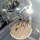 Gothic flower and spider