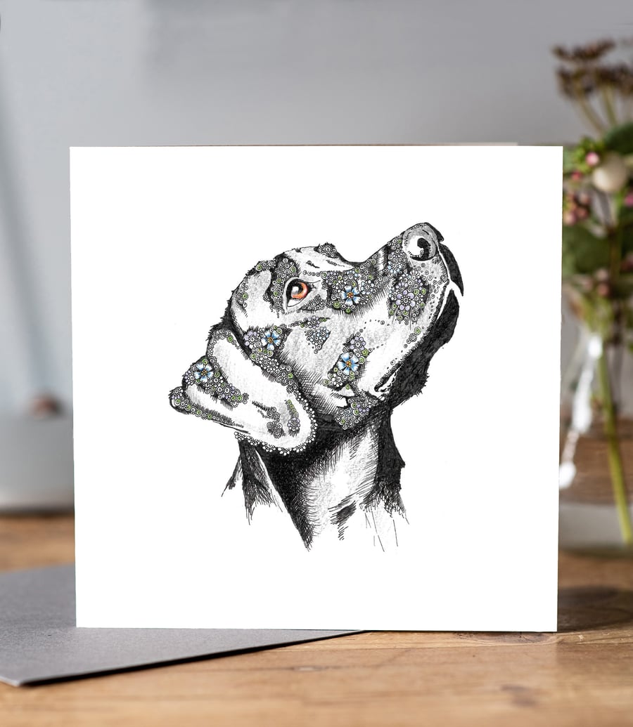Black Labrador Greeting card 