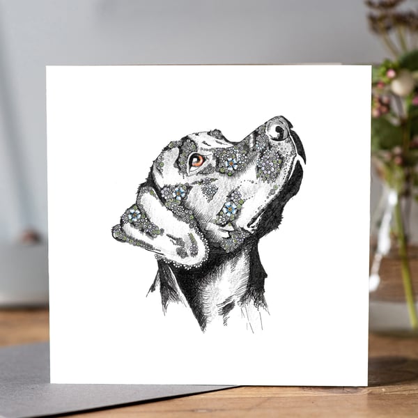 Black Labrador Greeting card 