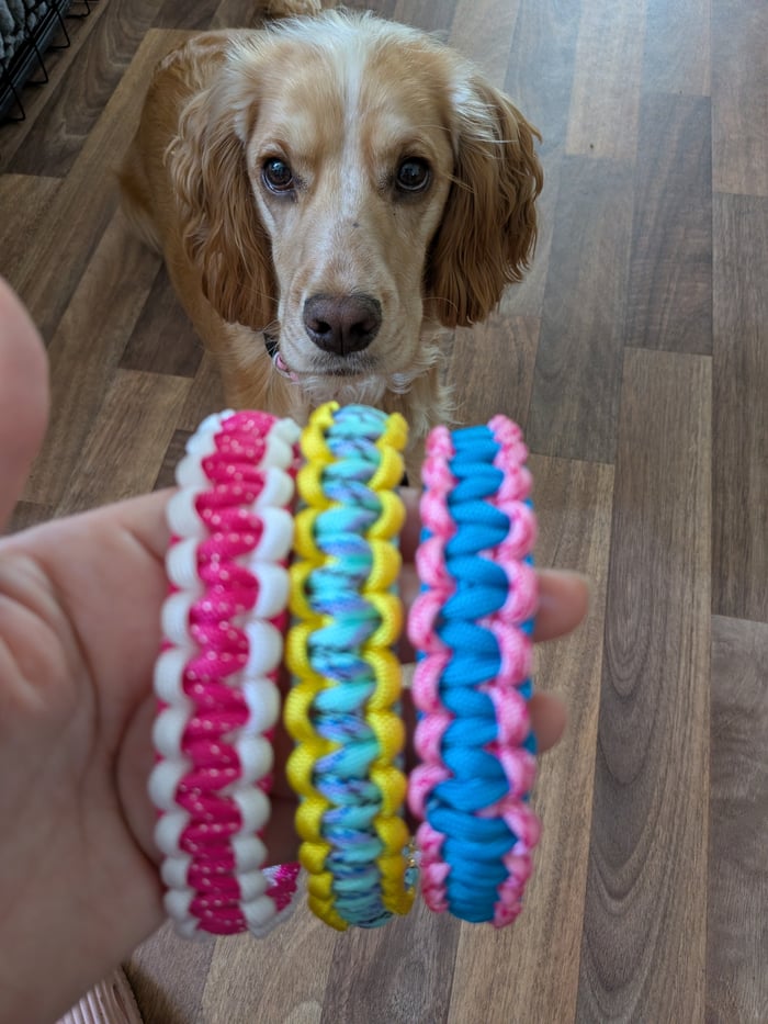 Puppy neck wear