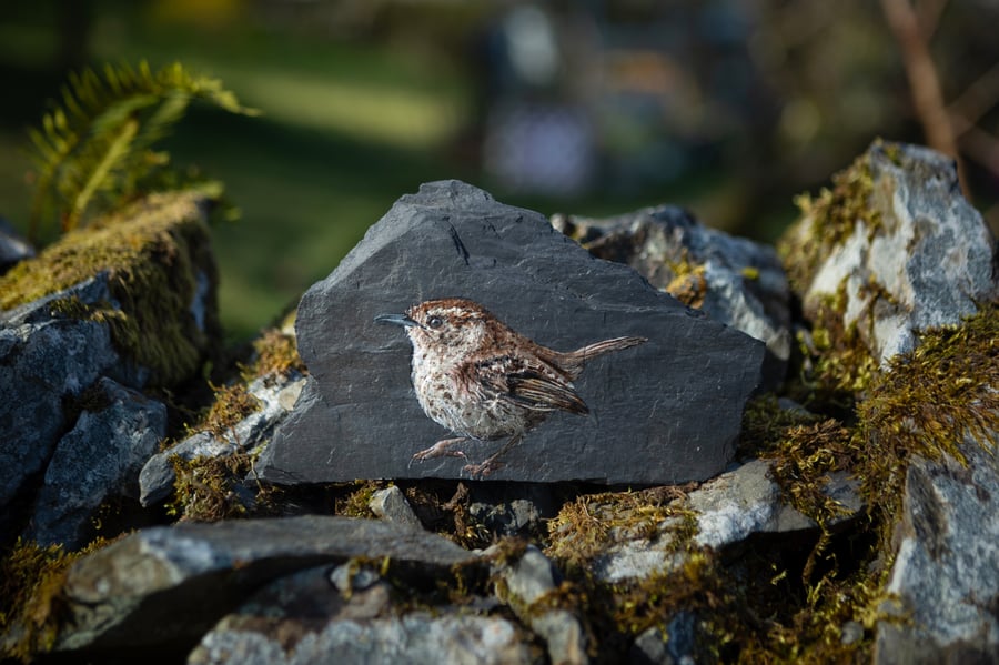 A Cheeky Little Wren