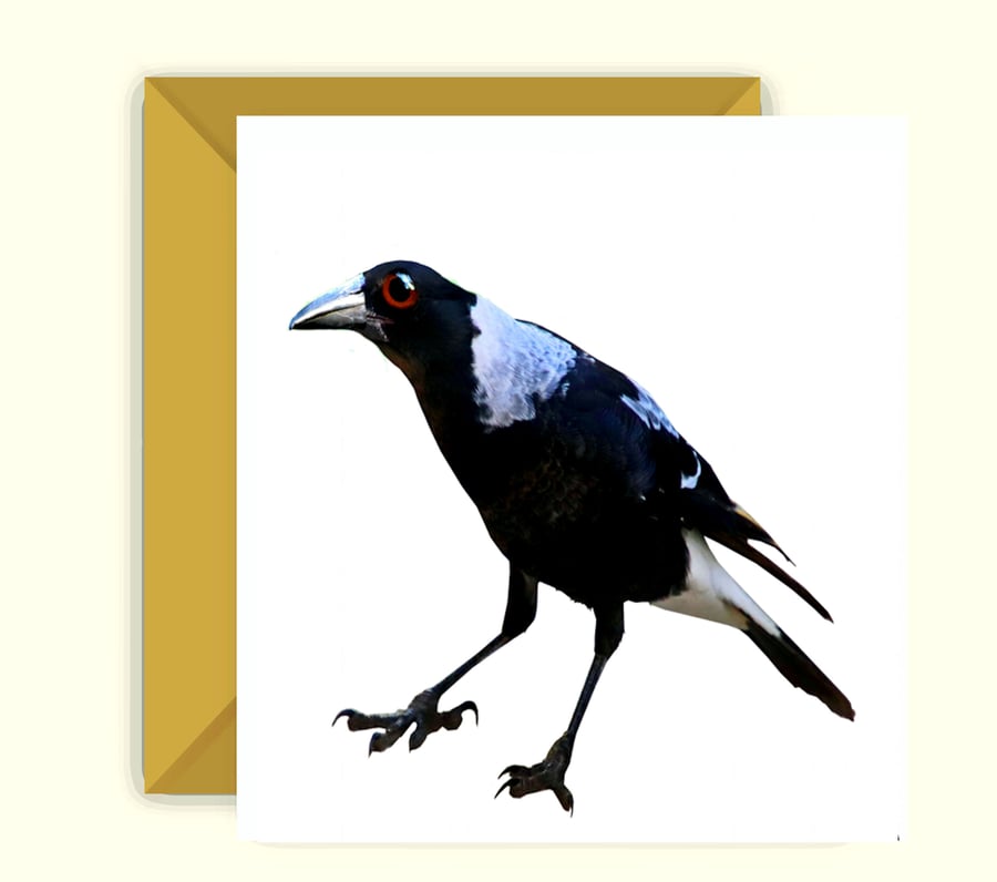 Magpie With a Huge Eye Greeting, Birthday Card