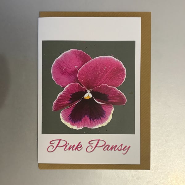 The Pink Pansy A5 Greeting Card