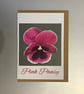 The Pink Pansy A5 Greeting Card - Image 1