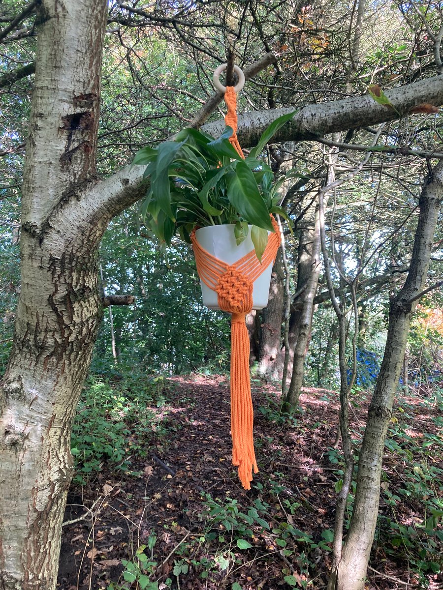 Orange macrame plant hanger 