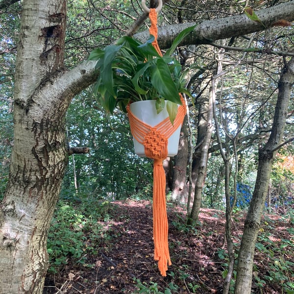 Orange macrame plant hanger 