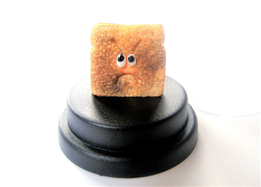 Pet Burnt Toast, FunnyToast gift, Toasted bread, Toast lover