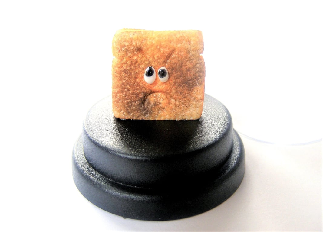 Pet Burnt Toast, FunnyToast gift, Toasted bread, Toast lover