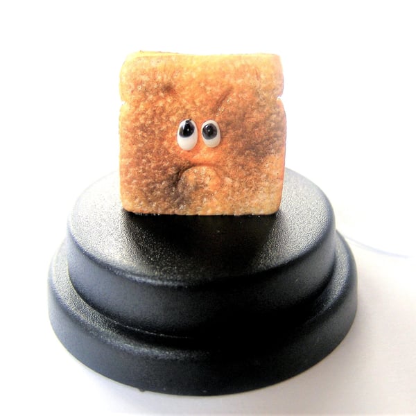Pet Burnt Toast, FunnyToast gift, Toasted bread, Toast lover