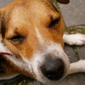 Elsie Sweets Handmade Baby Items