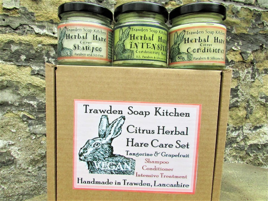 Citrus Herbal Hare Care Set - Shampoo, Conditioner, Intensive Treatment mask