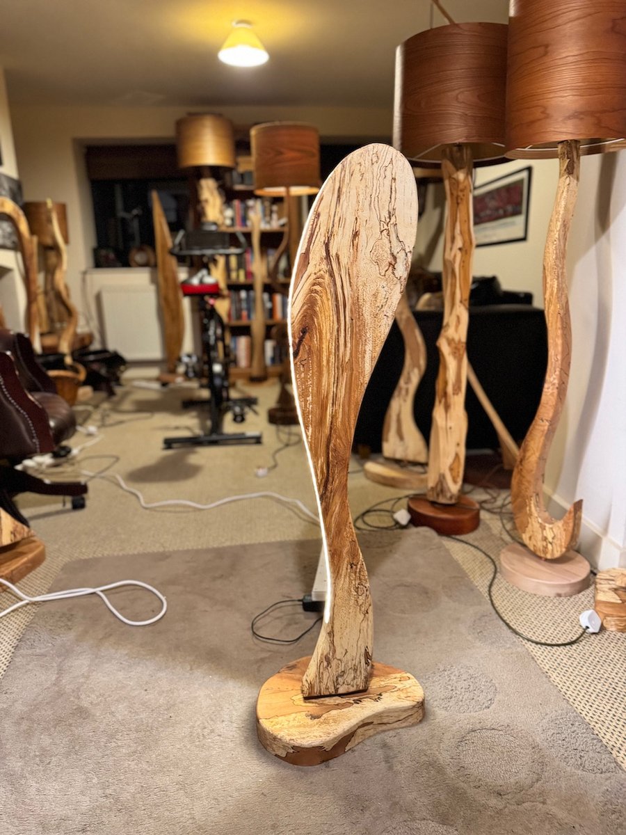 Spalted Beech standard LED lamp.