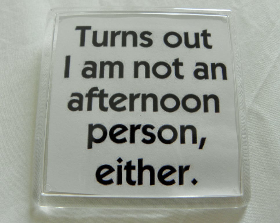 Not an Afternoon Person Either Fridge Magnet