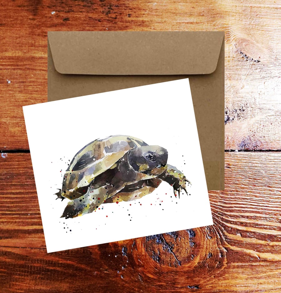 Hermann's tortoise GreetingNote Card.Tortoise card,Tortoise greeting card,Tortoi