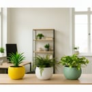 Plant Pot Indooer Flower Planter  Contemporary Diamond Pattern 