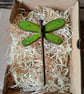 Dragonfly  - Image 6