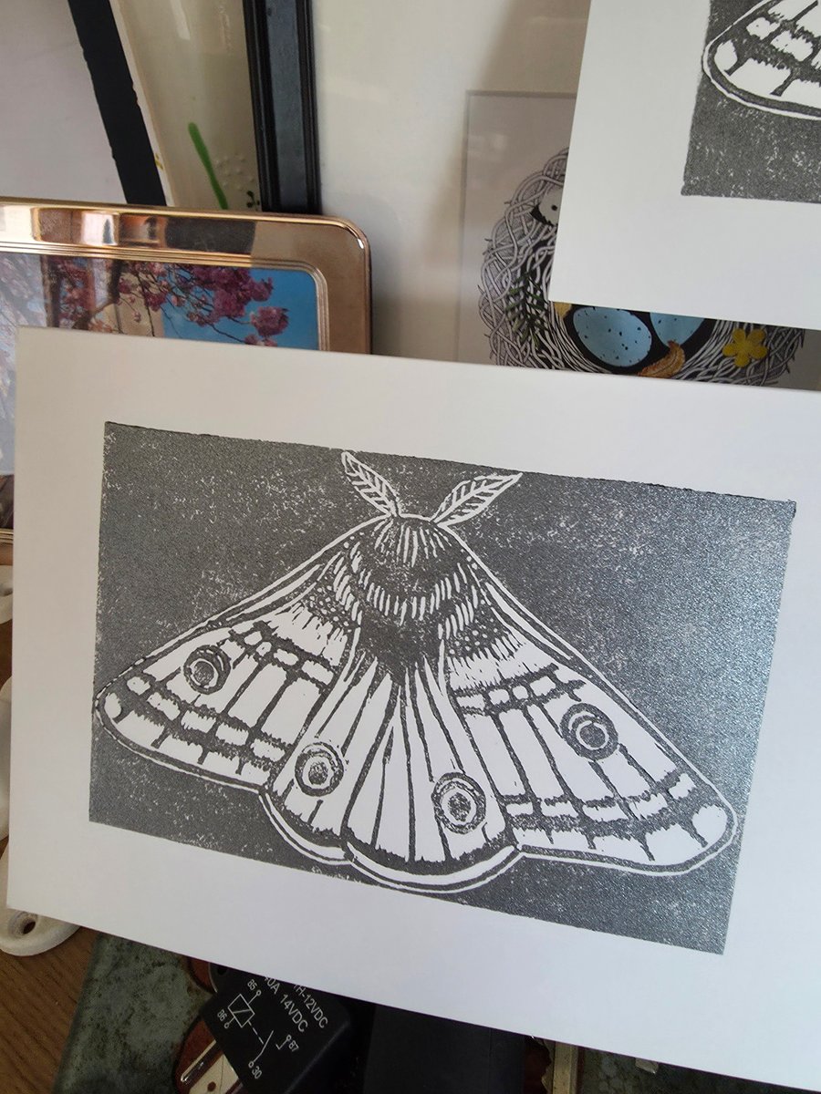 Emperor Moth silver linocut card (open edition)