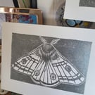 Emperor Moth silver linocut card (open edition)
