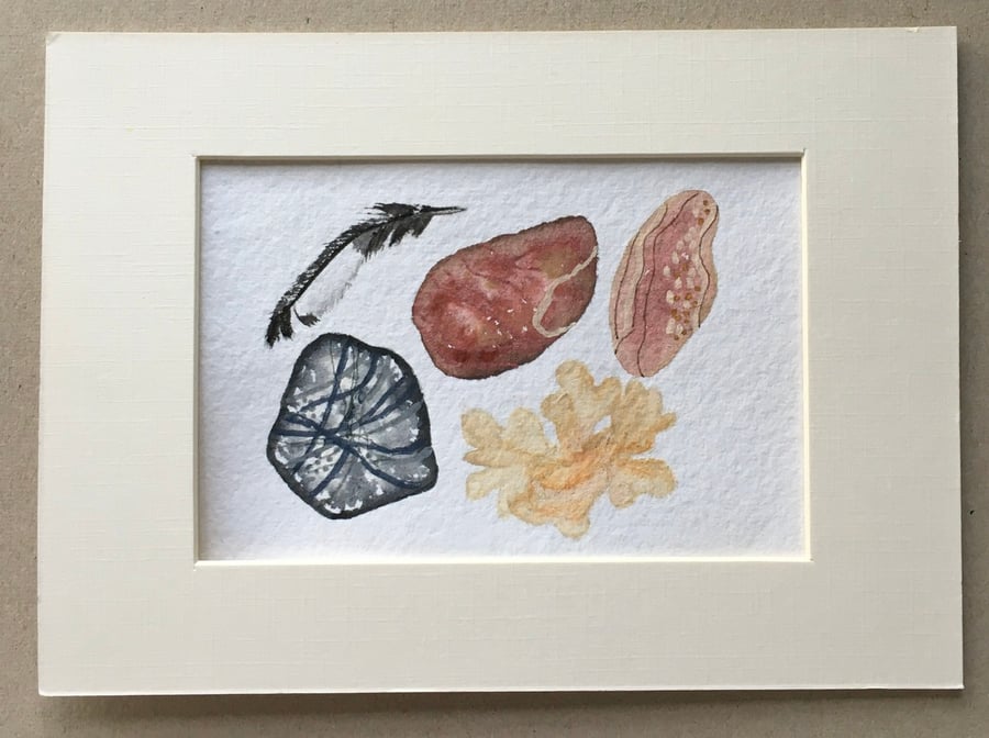 Hornwrack and pebbles artwork 