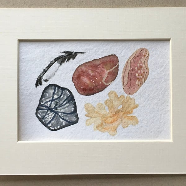 Hornwrack and pebbles artwork 