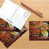 Autumn Woodland Trees Postcards Set of 4