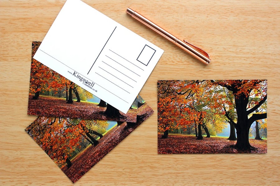 Autumn Woodland Trees Postcards Set of 4