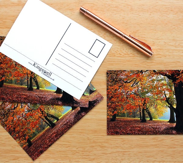 Autumn Woodland Trees Postcards Set of 4