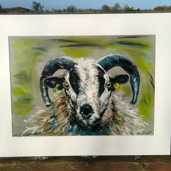  A4 or A3 signed Art Print, Sheep