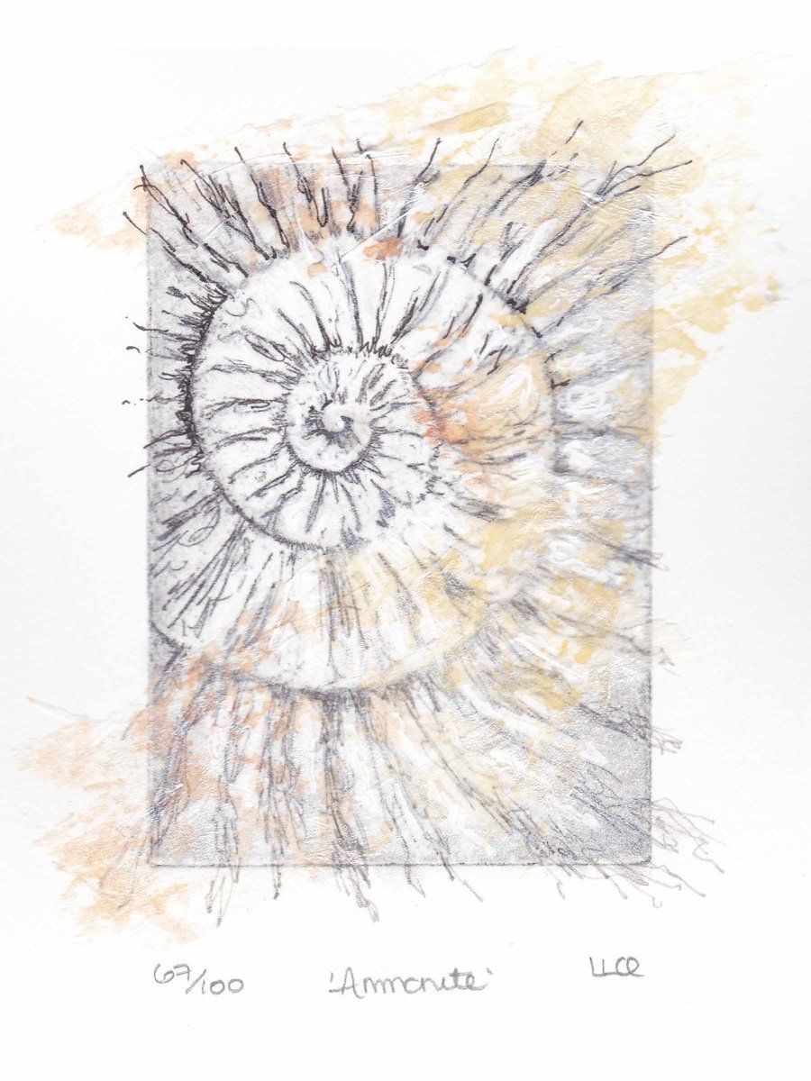 Etching no.67 of an ammonite fossil with mixed media in an edition of 100