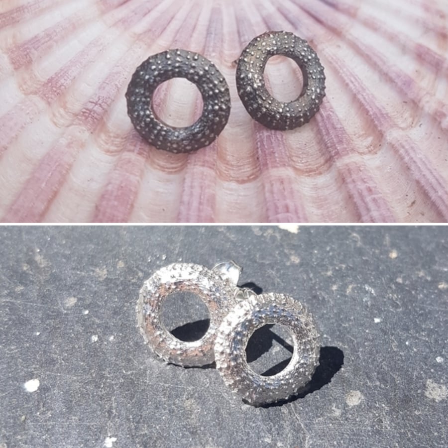 Sea Urchin Loop Studs