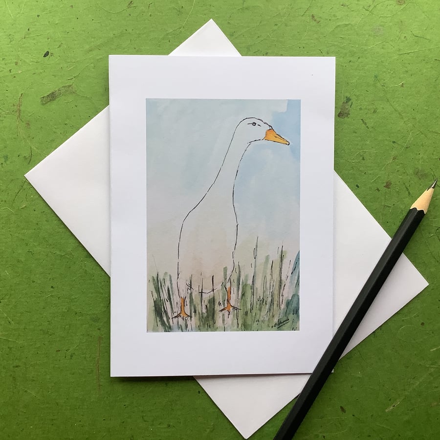 Greetings card - white runner duck. Pets. Ducks.