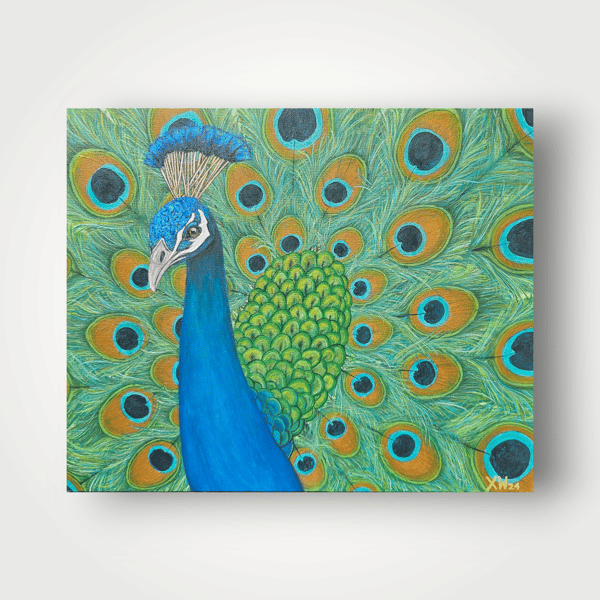 Peacock Acrylic painting on canvas board 20"x16"