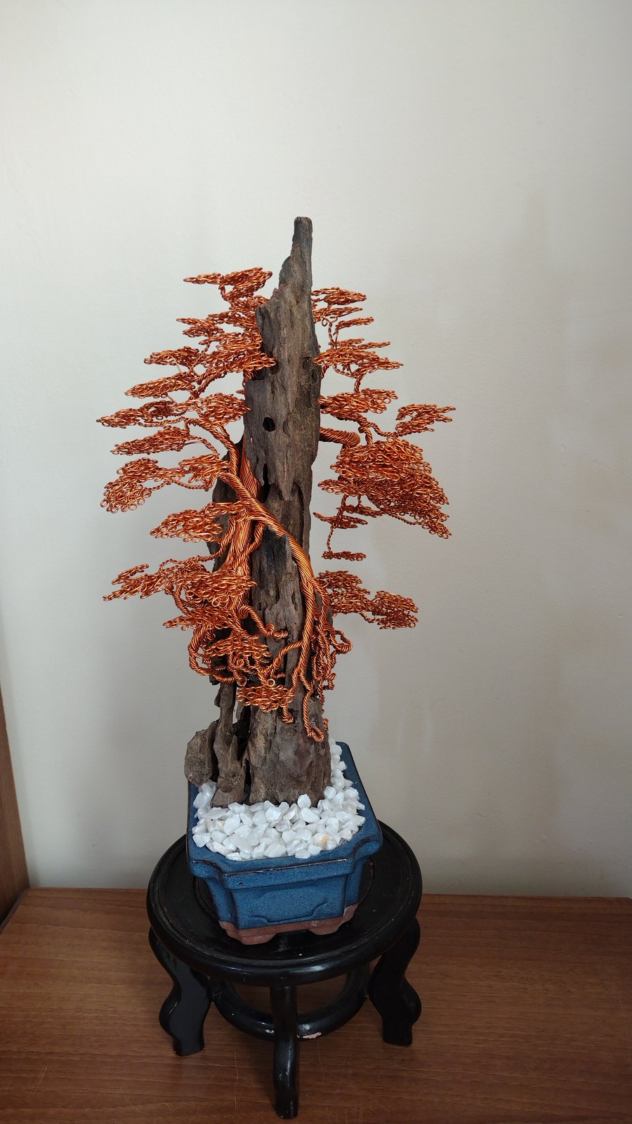 The golden aged bonsai trees 