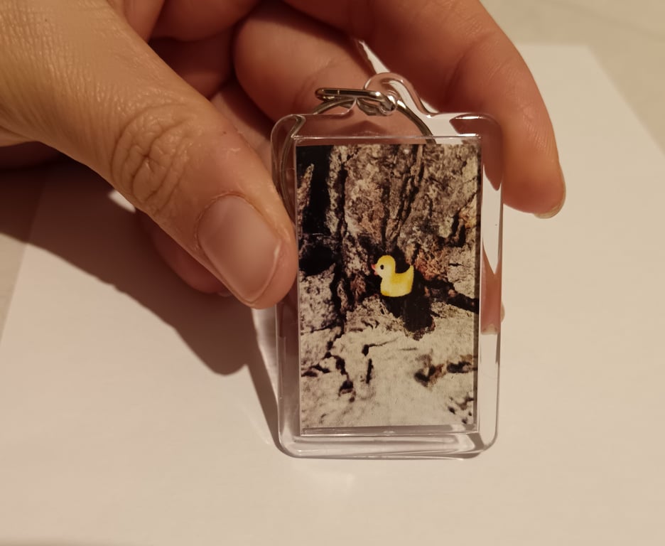 Little duck photography rectangular keyring