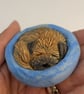 Border Terrier Yorkshire Pudding - 9 - Image 3