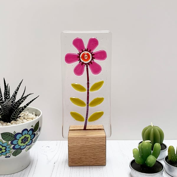 Fused Glass Pink Daisy on Oak - Fused Glass Artwork