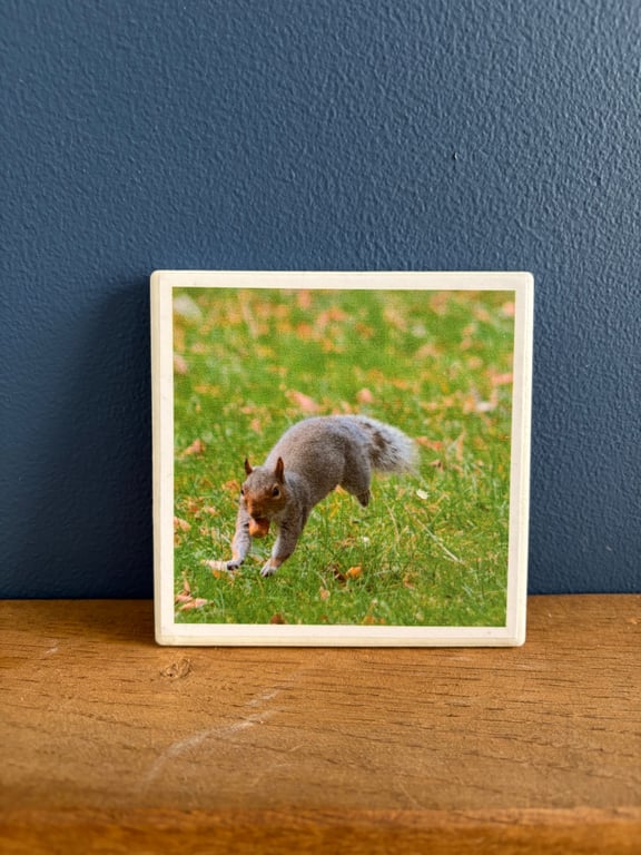 Squirrel with nut ceramic coaster