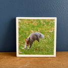 Squirrel with nut ceramic coaster