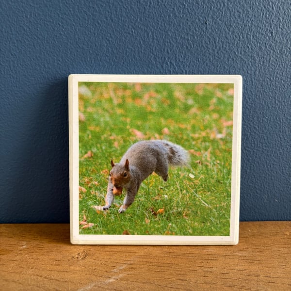 Squirrel with nut ceramic coaster