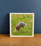 Squirrel with nut ceramic coaster
