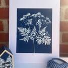 Sweet Cicely in Cyanotype, Botanical art gift. 