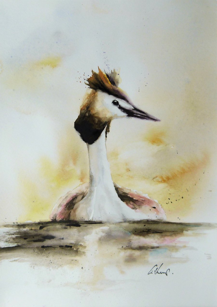 Great Crested Grebe, Original Watercolour Painting.