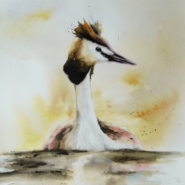 Great Crested Grebe, Original Watercolour Painting.