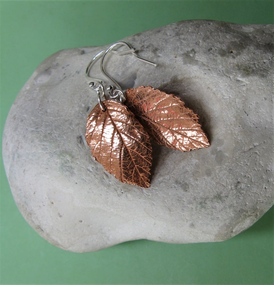 Copper leaf earrings with sterling silver