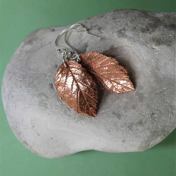 Copper leaf earrings with sterling silver