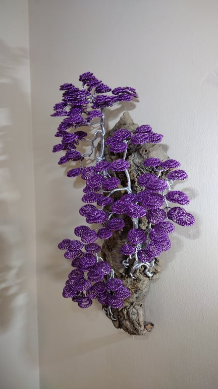 The beautiful cascading bonsai trees on cork bark 